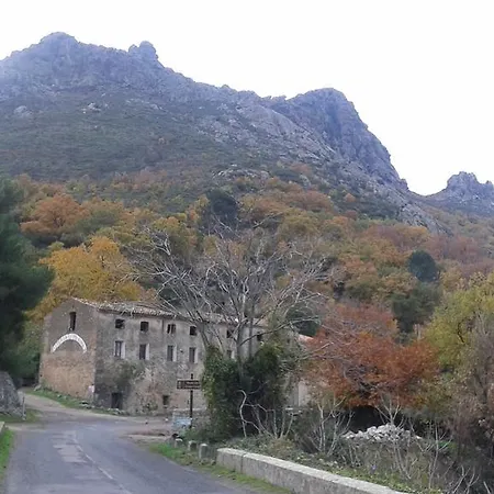 Vakantiehuis Holiday Casa Vigna Alla Funtana Feliceto